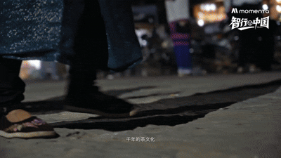 5.gif