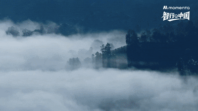 9.gif